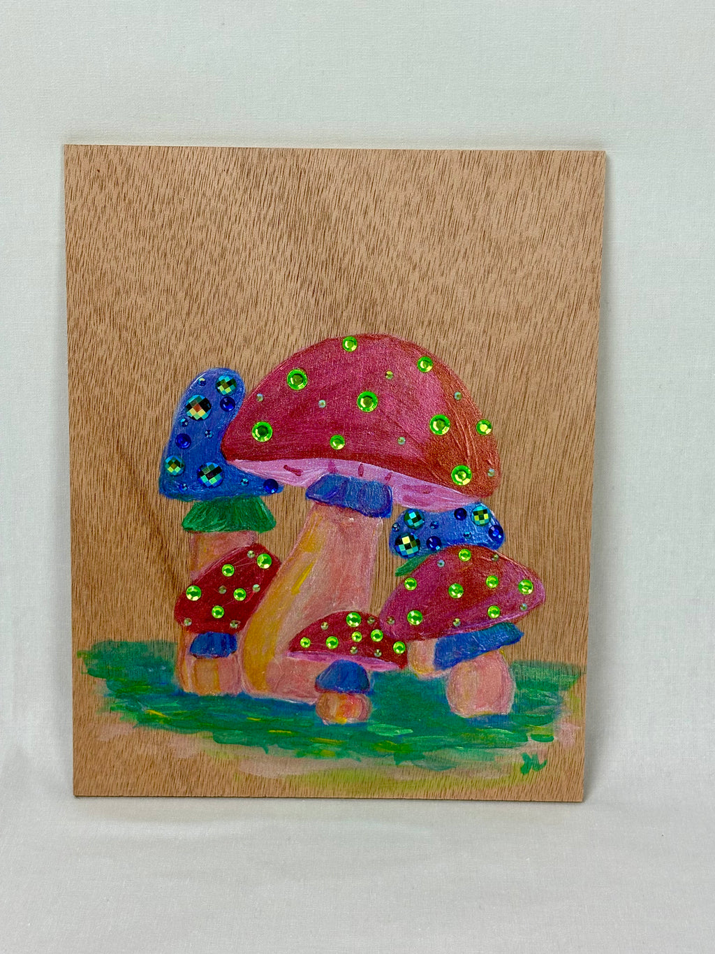 Enchanted Mushroom Wooden Canvas Painting