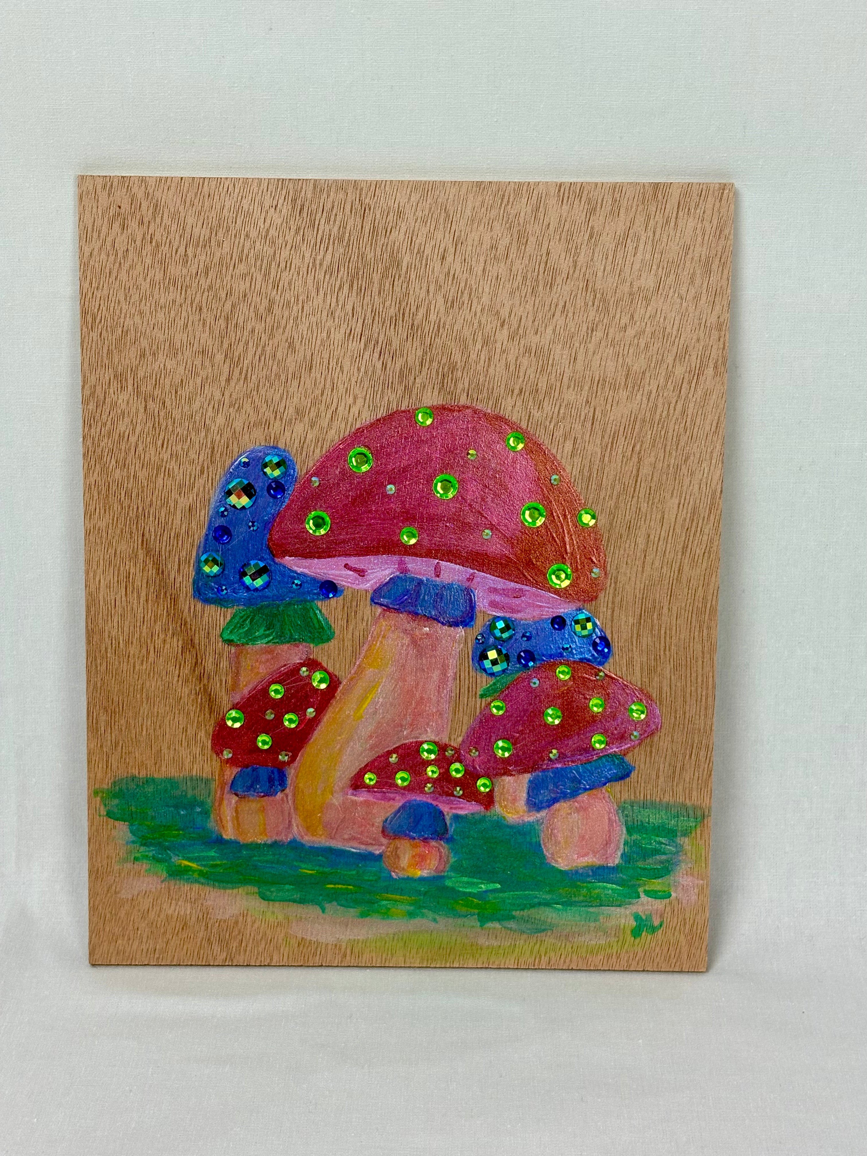 Enchanted Mushroom Wooden Canvas Painting